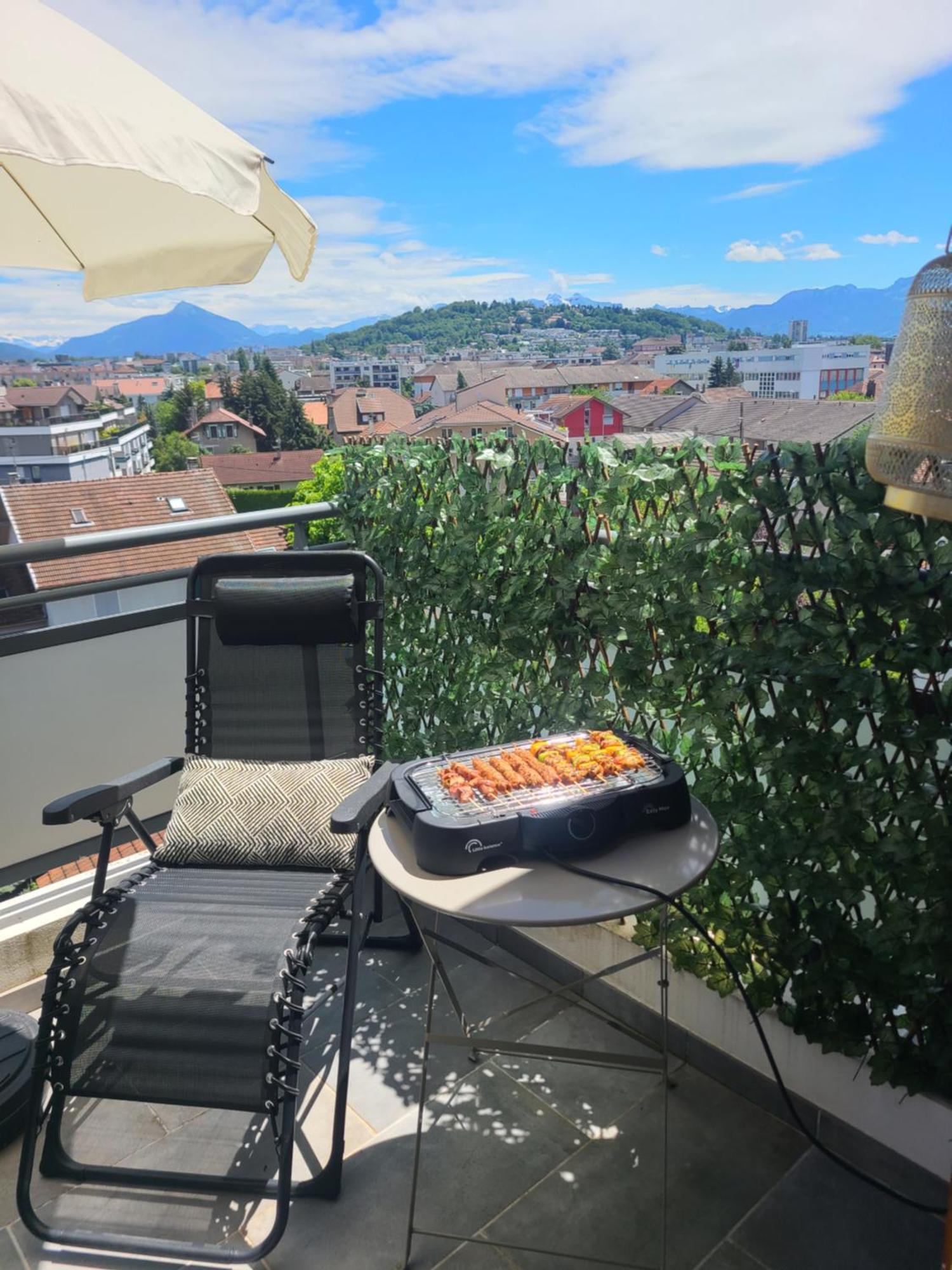 Apartmán Joli T2 Proche Gare Avec Vue Annemasse Exteriér fotografie